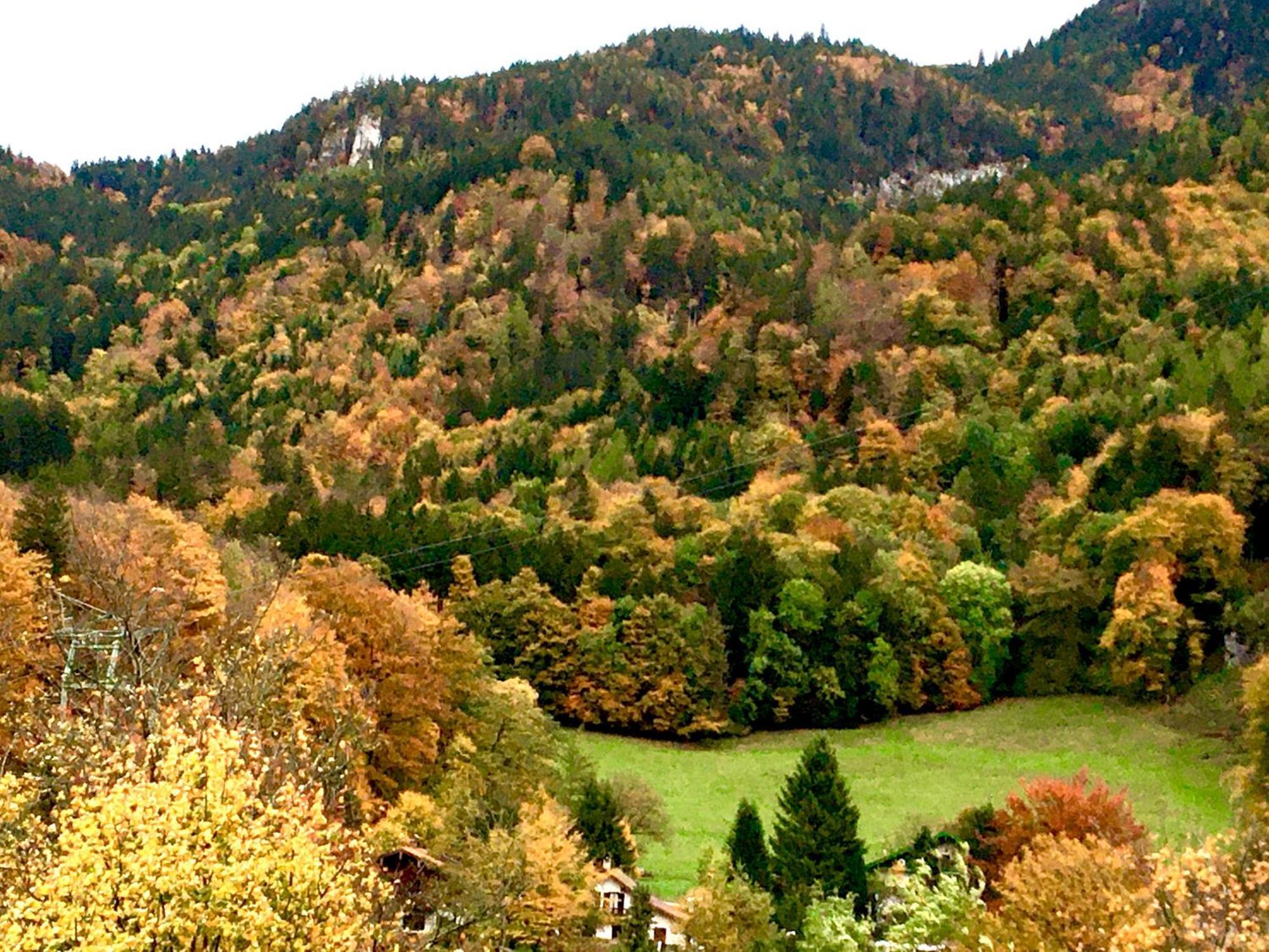 Appartment Schloss-Zeit Aschau im Chiemgau Kamer foto